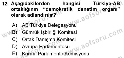 Avrupa Birliği ve Türkiye İlişkileri Dersi 2018 - 2019 Yılı (Vize) Ara Sınav Soruları 12. Soru