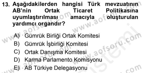 Avrupa Birliği ve Türkiye İlişkileri Dersi 2018 - 2019 Yılı (Vize) Ara Sınav Soruları 13. Soru