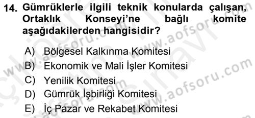 Avrupa Birliği ve Türkiye İlişkileri Dersi 2018 - 2019 Yılı (Vize) Ara Sınav Soruları 14. Soru