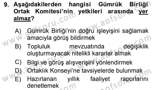 Avrupa Birliği ve Türkiye İlişkileri Dersi 2018 - 2019 Yılı (Vize) Ara Sınav Soruları 9. Soru