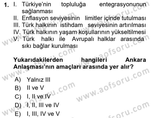 Avrupa Birliği ve Türkiye İlişkileri Dersi 2018 - 2019 Yılı (Final) Dönem Sonu Sınavı 1. Soru