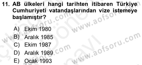 Avrupa Birliği ve Türkiye İlişkileri Dersi 2018 - 2019 Yılı (Final) Dönem Sonu Sınavı 11. Soru