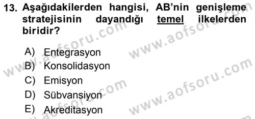 Avrupa Birliği ve Türkiye İlişkileri Dersi 2018 - 2019 Yılı (Final) Dönem Sonu Sınav Soruları 13. Soru