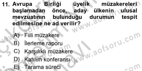 Avrupa Birliği ve Türkiye İlişkileri Dersi 2018 - 2019 Yılı Yaz Okulu Sınav Soruları 11. Soru