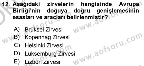 Avrupa Birliği ve Türkiye İlişkileri Dersi 2018 - 2019 Yılı Yaz Okulu Sınav Soruları 12. Soru