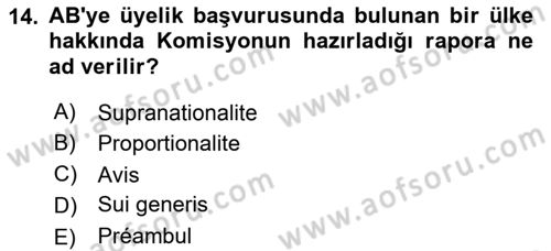 Avrupa Birliği ve Türkiye İlişkileri Dersi 2018 - 2019 Yılı Yaz Okulu Sınav Soruları 14. Soru
