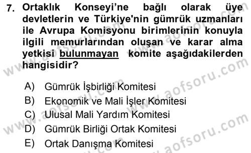 Avrupa Birliği ve Türkiye İlişkileri Dersi 2018 - 2019 Yılı Yaz Okulu Sınavı 7. Soru