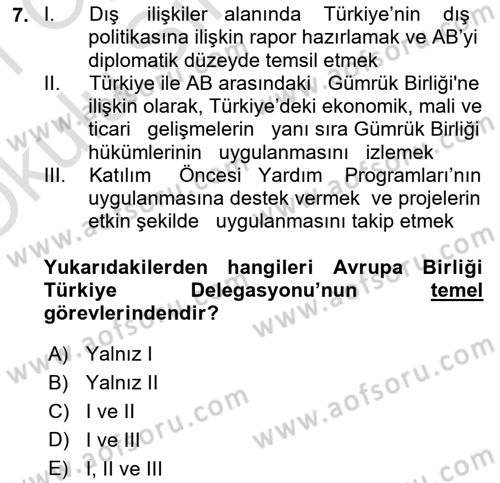 Avrupa Birliği ve Türkiye İlişkileri Dersi 2020 - 2021 Yılı Yaz Okulu Sınav Soruları 7. Soru