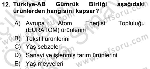 Avrupa Birliği ve Türkiye İlişkileri Dersi 2021 - 2022 Yılı (Vize) Ara Sınavı 12. Soru