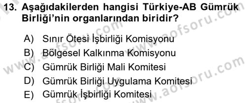 Avrupa Birliği ve Türkiye İlişkileri Dersi 2021 - 2022 Yılı (Vize) Ara Sınavı 13. Soru