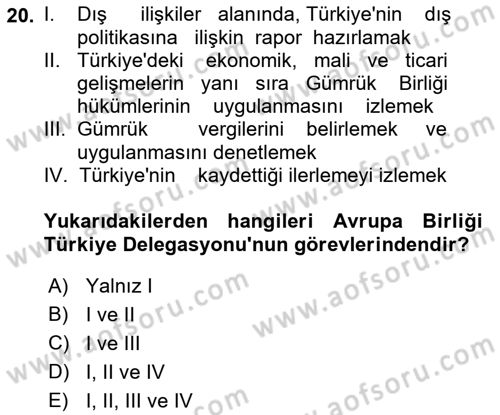 Avrupa Birliği ve Türkiye İlişkileri Dersi 2021 - 2022 Yılı (Vize) Ara Sınav Soruları 20. Soru