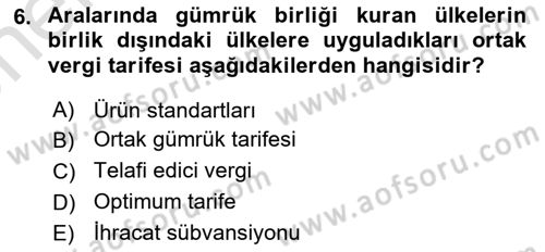 Avrupa Birliği ve Türkiye İlişkileri Dersi 2021 - 2022 Yılı (Vize) Ara Sınav Soruları 6. Soru