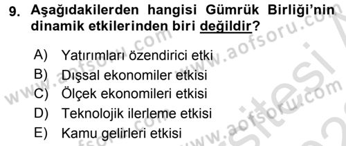 Avrupa Birliği ve Türkiye İlişkileri Dersi 2021 - 2022 Yılı (Vize) Ara Sınav Soruları 9. Soru