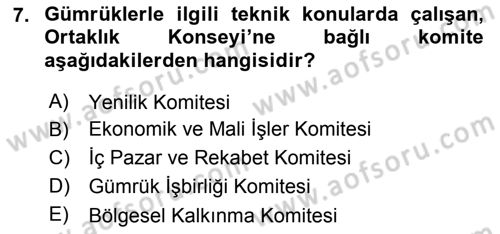 Avrupa Birliği ve Türkiye İlişkileri Dersi 2021 - 2022 Yılı (Final) Dönem Sonu Sınavı 7. Soru