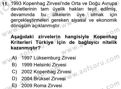 Avrupa Birliği ve Türkiye İlişkileri Dersi 2021 - 2022 Yılı Yaz Okulu Sınavı 11. Soru