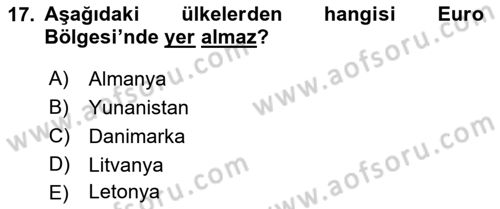 Avrupa Birliği ve Türkiye İlişkileri Dersi 2021 - 2022 Yılı Yaz Okulu Sınav Soruları 17. Soru