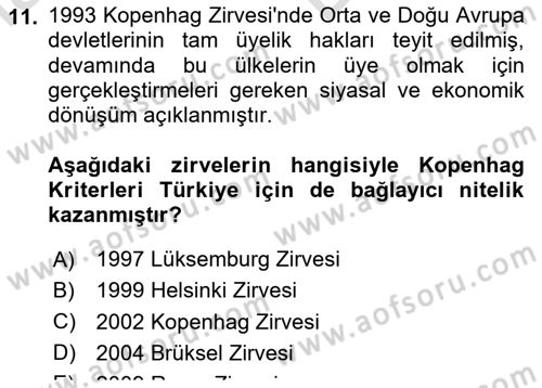 Avrupa Birliği ve Türkiye İlişkileri Dersi 2022 - 2023 Yılı (Final) Dönem Sonu Sınav Soruları 11. Soru