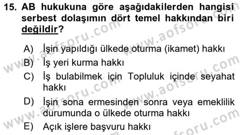 Avrupa Birliği ve Türkiye İlişkileri Dersi 2022 - 2023 Yılı (Final) Dönem Sonu Sınav Soruları 15. Soru