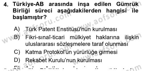 Avrupa Birliği ve Türkiye İlişkileri Dersi 2022 - 2023 Yılı (Final) Dönem Sonu Sınav Soruları 4. Soru