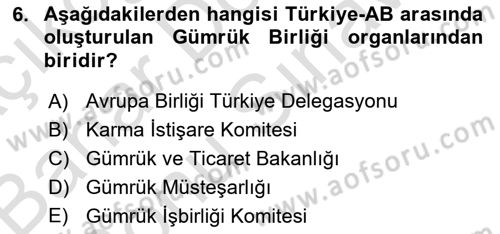 Avrupa Birliği ve Türkiye İlişkileri Dersi 2022 - 2023 Yılı (Final) Dönem Sonu Sınav Soruları 6. Soru