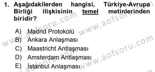 Avrupa Birliği ve Türkiye İlişkileri Dersi 2022 - 2023 Yılı Yaz Okulu Sınavı 1. Soru