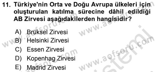 Avrupa Birliği ve Türkiye İlişkileri Dersi 2022 - 2023 Yılı Yaz Okulu Sınavı 11. Soru