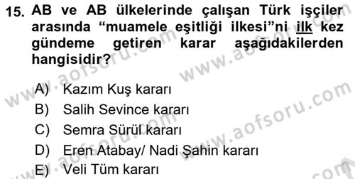 Avrupa Birliği ve Türkiye İlişkileri Dersi 2022 - 2023 Yılı Yaz Okulu Sınavı 15. Soru