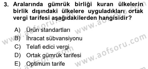 Avrupa Birliği ve Türkiye İlişkileri Dersi 2022 - 2023 Yılı Yaz Okulu Sınavı 3. Soru