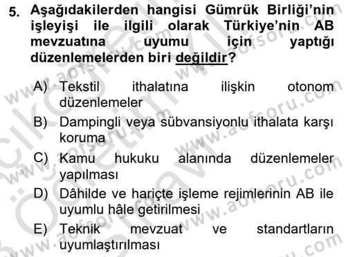 Avrupa Birliği ve Türkiye İlişkileri Dersi 2022 - 2023 Yılı Yaz Okulu Sınavı 5. Soru