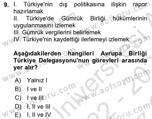 Avrupa Birliği ve Türkiye İlişkileri Dersi 2022 - 2023 Yılı Yaz Okulu Sınavı 9. Soru