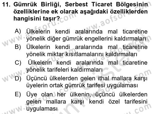 Avrupa Birliği ve Türkiye İlişkileri Dersi 2023 - 2024 Yılı (Vize) Ara Sınav Soruları 11. Soru