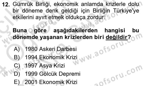 Avrupa Birliği ve Türkiye İlişkileri Dersi 2023 - 2024 Yılı (Vize) Ara Sınav Soruları 12. Soru