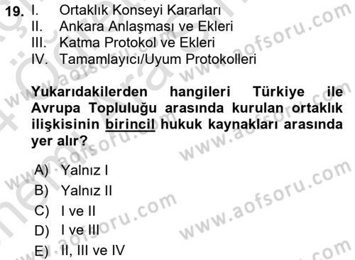 Avrupa Birliği ve Türkiye İlişkileri Dersi 2023 - 2024 Yılı (Vize) Ara Sınav Soruları 19. Soru