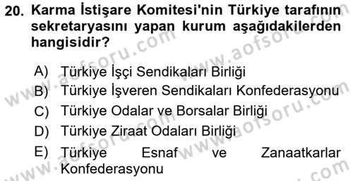 Avrupa Birliği ve Türkiye İlişkileri Dersi 2023 - 2024 Yılı (Vize) Ara Sınav Soruları 20. Soru