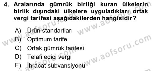 Avrupa Birliği ve Türkiye İlişkileri Dersi 2023 - 2024 Yılı (Vize) Ara Sınav Soruları 4. Soru