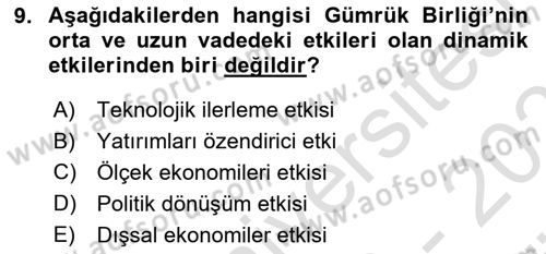 Avrupa Birliği ve Türkiye İlişkileri Dersi 2023 - 2024 Yılı (Vize) Ara Sınav Soruları 9. Soru