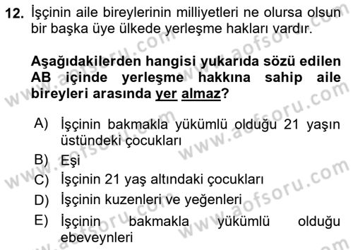 Avrupa Birliği ve Türkiye İlişkileri Dersi 2023 - 2024 Yılı (Final) Dönem Sonu Sınav Soruları 12. Soru
