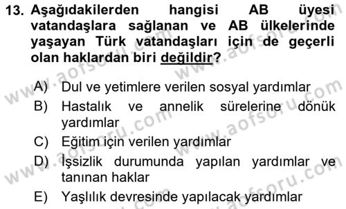Avrupa Birliği ve Türkiye İlişkileri Dersi 2023 - 2024 Yılı (Final) Dönem Sonu Sınav Soruları 13. Soru