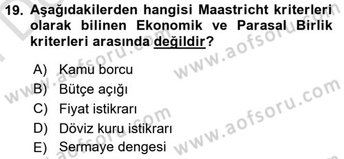 Avrupa Birliği ve Türkiye İlişkileri Dersi 2023 - 2024 Yılı (Final) Dönem Sonu Sınavı 19. Soru