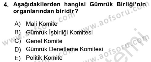 Avrupa Birliği ve Türkiye İlişkileri Dersi 2023 - 2024 Yılı (Final) Dönem Sonu Sınav Soruları 4. Soru