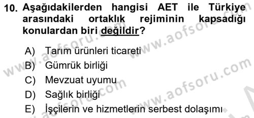 Avrupa Birliği ve Türkiye İlişkileri Dersi 2023 - 2024 Yılı Yaz Okulu Sınav Soruları 10. Soru