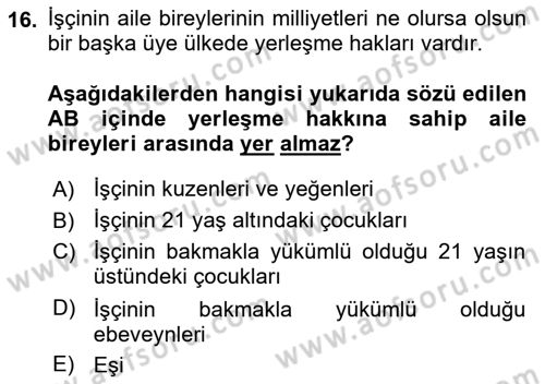 Avrupa Birliği ve Türkiye İlişkileri Dersi 2023 - 2024 Yılı Yaz Okulu Sınav Soruları 16. Soru