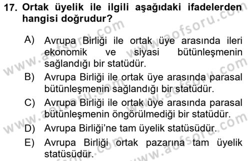 Avrupa Birliği ve Türkiye İlişkileri Dersi 2023 - 2024 Yılı Yaz Okulu Sınav Soruları 17. Soru
