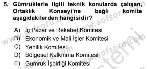 Avrupa Birliği ve Türkiye İlişkileri Dersi 2023 - 2024 Yılı Yaz Okulu Sınav Soruları 5. Soru