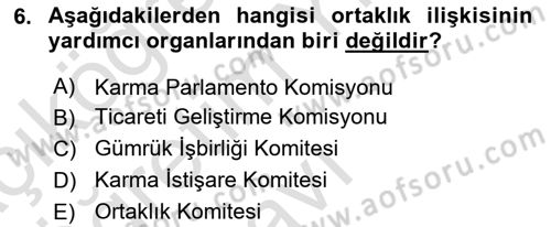 Avrupa Birliği ve Türkiye İlişkileri Dersi 2023 - 2024 Yılı Yaz Okulu Sınav Soruları 6. Soru