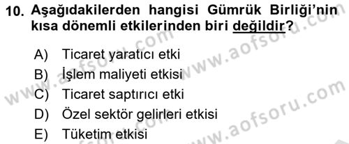 Avrupa Birliği ve Türkiye İlişkileri Dersi 2024 - 2025 Yılı (Vize) Ara Sınav Soruları 10. Soru