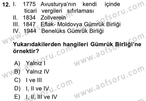 Avrupa Birliği ve Türkiye İlişkileri Dersi 2024 - 2025 Yılı (Vize) Ara Sınav Soruları 12. Soru