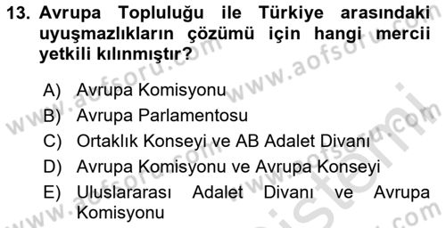 Avrupa Birliği ve Türkiye İlişkileri Dersi 2024 - 2025 Yılı (Vize) Ara Sınav Soruları 13. Soru