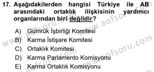 Avrupa Birliği ve Türkiye İlişkileri Dersi 2024 - 2025 Yılı (Vize) Ara Sınav Soruları 17. Soru