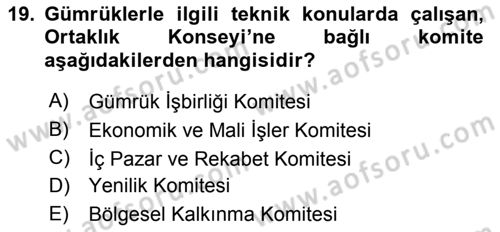 Avrupa Birliği ve Türkiye İlişkileri Dersi 2024 - 2025 Yılı (Vize) Ara Sınav Soruları 19. Soru